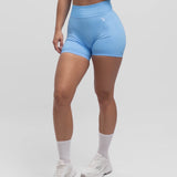 V-Seam Shorts